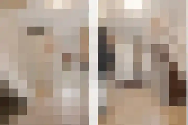 Bolstraschans 8 Zoetermeer thumbnail 14