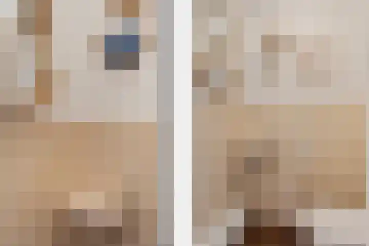Bolstraschans 8 Zoetermeer thumbnail 17