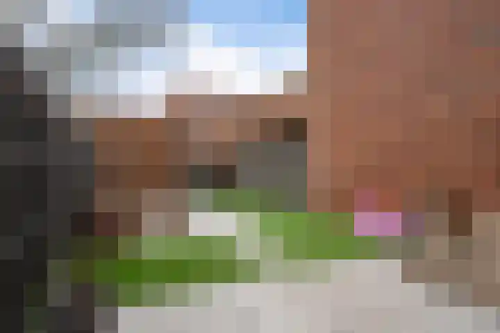 Bolstraschans 8 Zoetermeer thumbnail 18