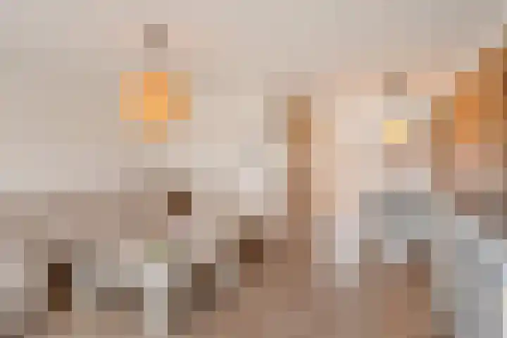 Bolstraschans 8 Zoetermeer thumbnail 28