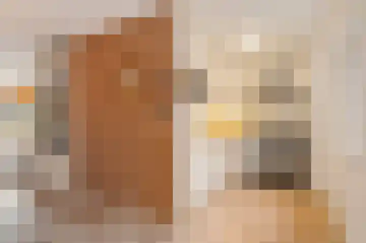 Bolstraschans 8 Zoetermeer thumbnail 30