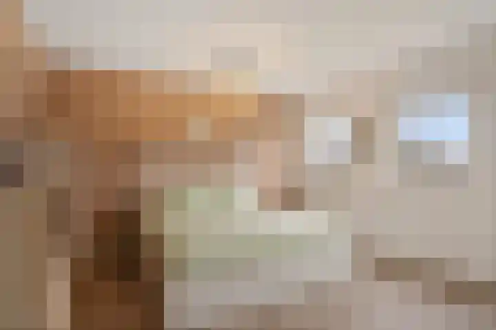 Bolstraschans 8 Zoetermeer thumbnail 38
