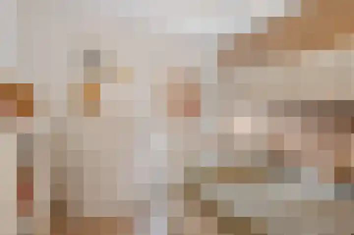 Bolstraschans 8 Zoetermeer thumbnail 43