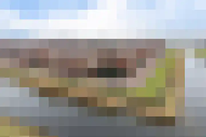 Bolstraschans 8 Zoetermeer thumbnail 5