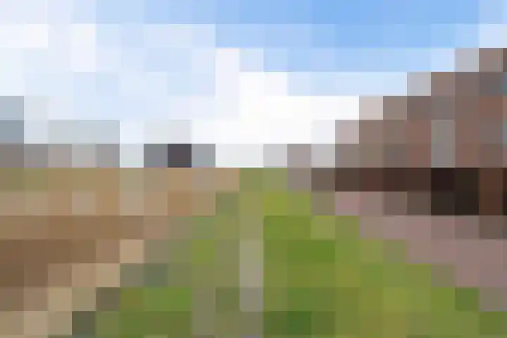 Bolstraschans 8 Zoetermeer thumbnail 9