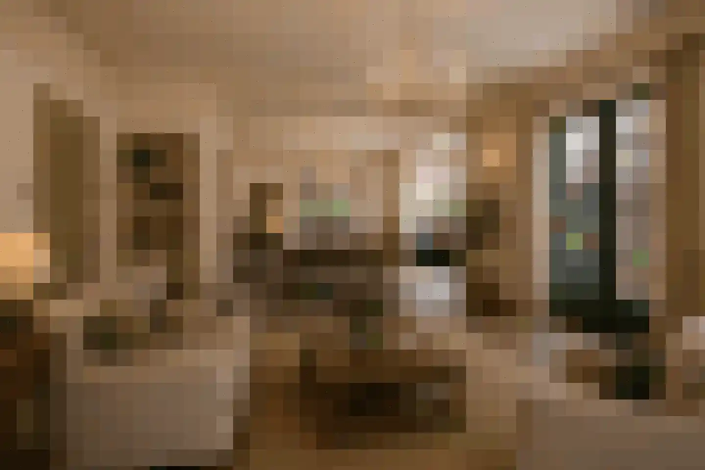 Bolswarderweg 15 Sneek thumbnail 12