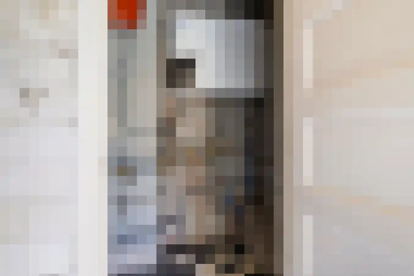 Bolswarderweg 15 Sneek thumbnail 20