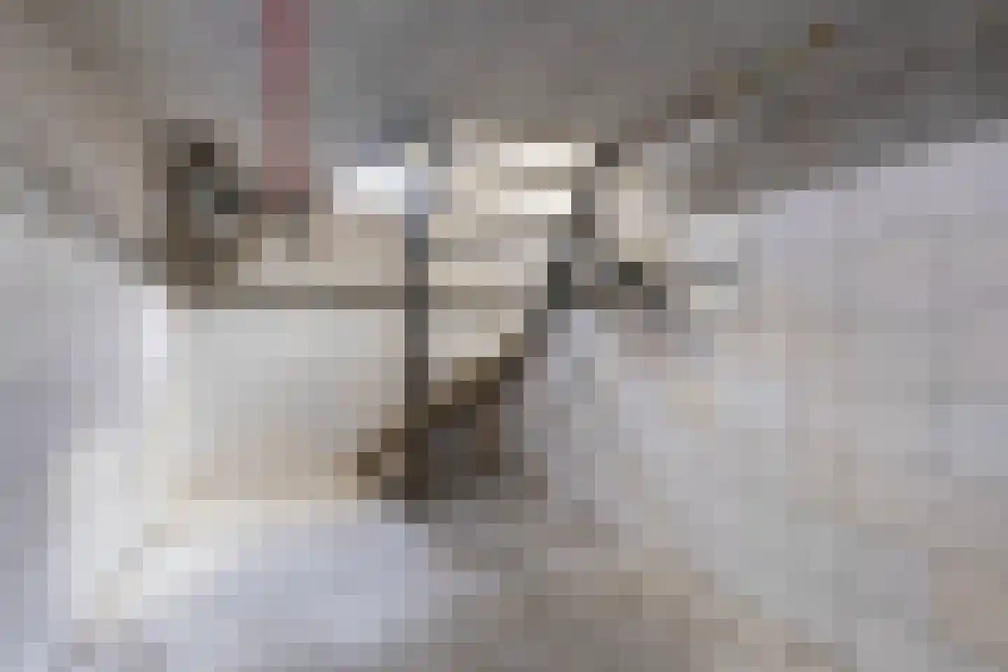 Bolswarderweg 15 Sneek thumbnail 21