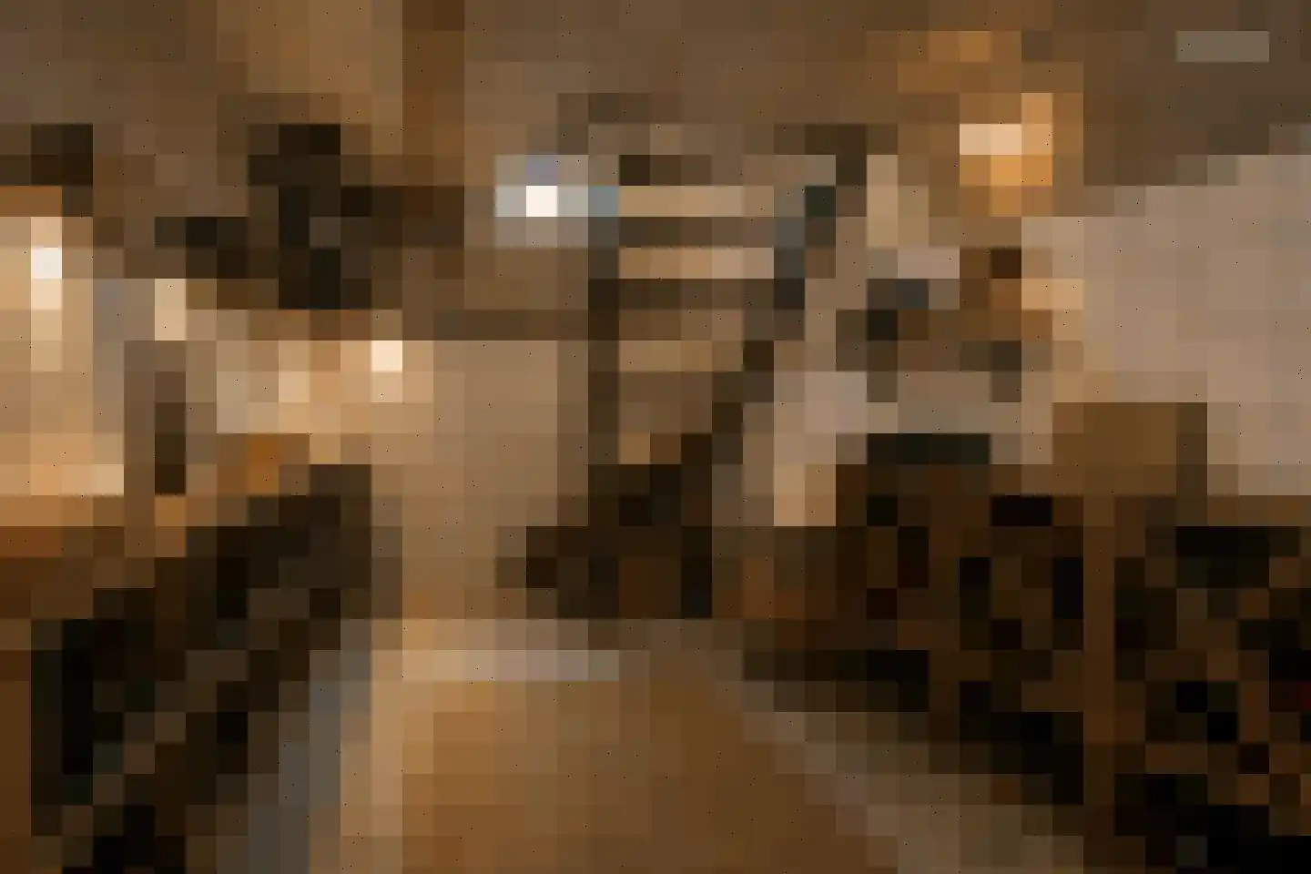 Bolswarderweg 15 Sneek thumbnail 25