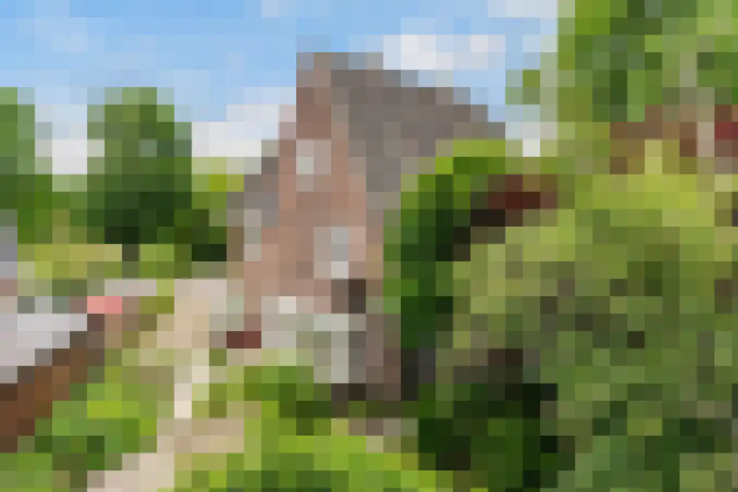Bolswarderweg 15 Sneek thumbnail 4