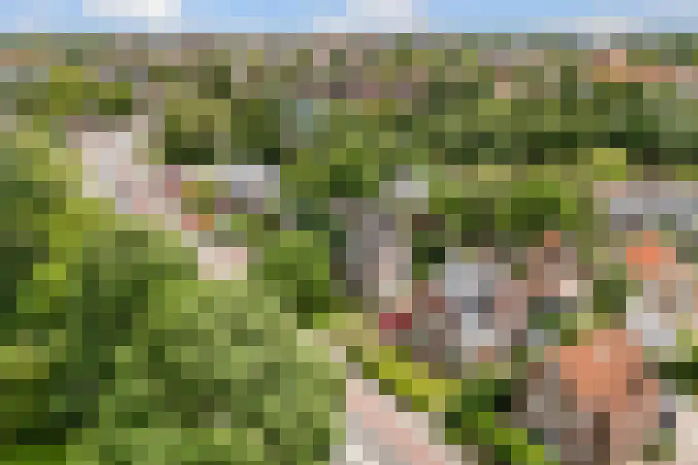 Bolswarderweg 15 Sneek thumbnail 5