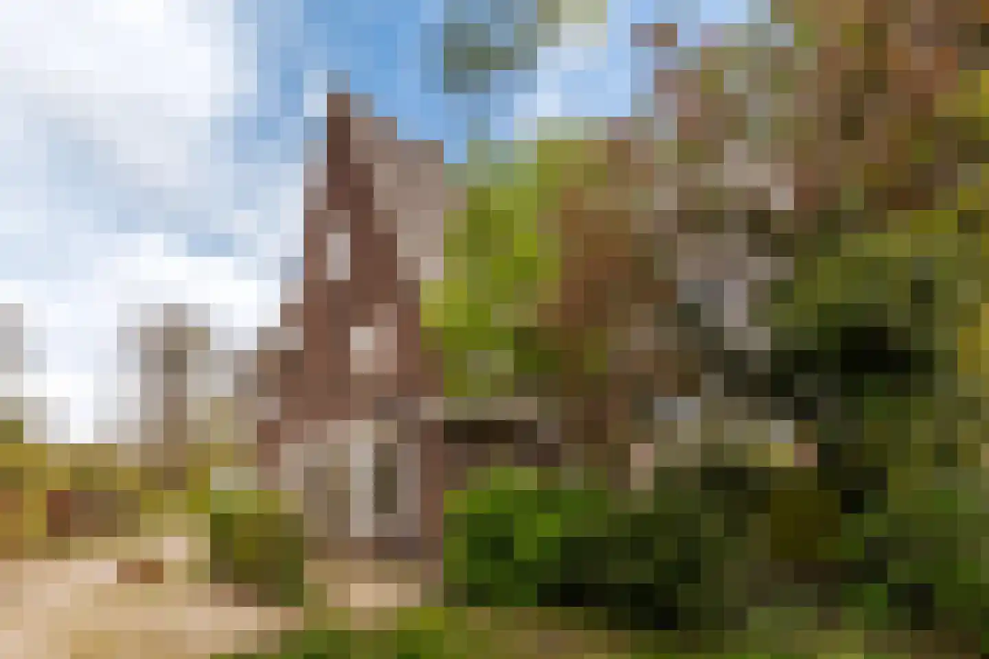 Bolswarderweg 15 Sneek thumbnail 56