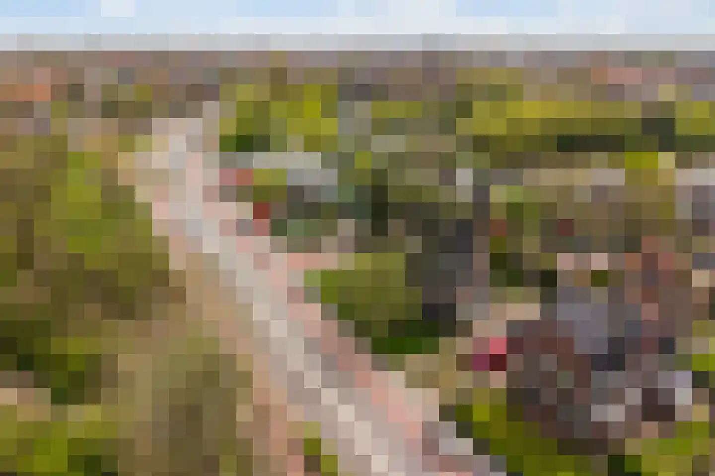 Bolswarderweg 15 Sneek thumbnail 60