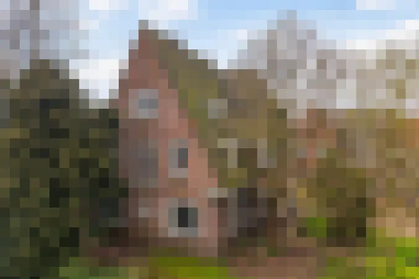 Bolswarderweg 15 Sneek thumbnail 61