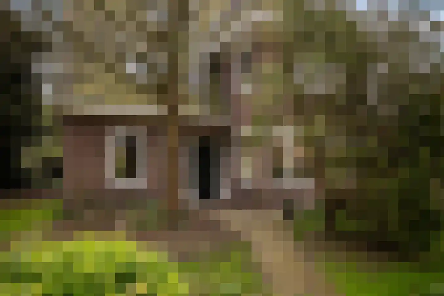 Bolswarderweg 15 Sneek thumbnail 63