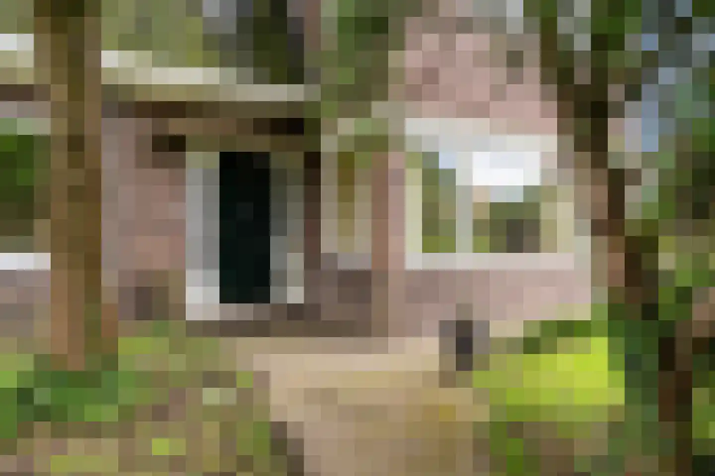 Bolswarderweg 15 Sneek thumbnail 63