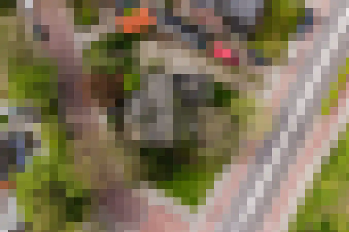 Bolswarderweg 15 Sneek thumbnail 65