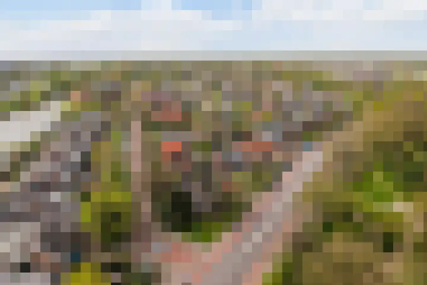 Bolswarderweg 15 Sneek thumbnail 66