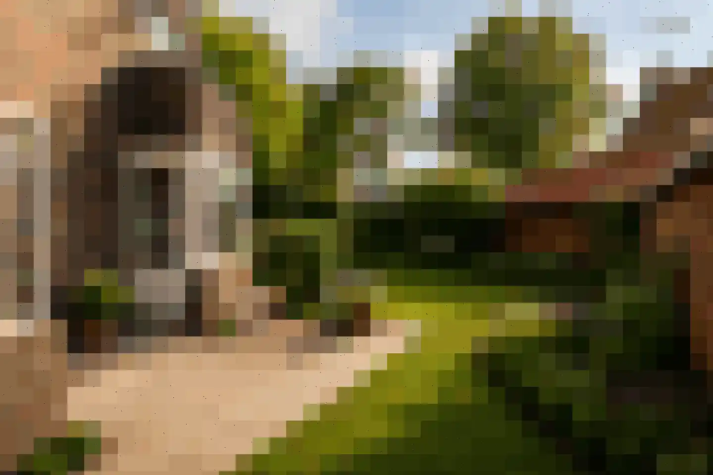 Bolswarderweg 15 Sneek thumbnail 68