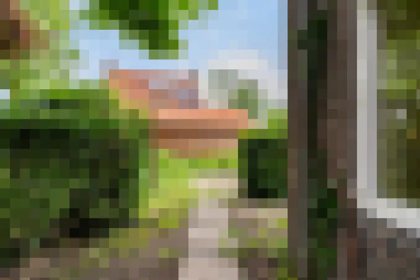 Bolswarderweg 15 Sneek thumbnail 69