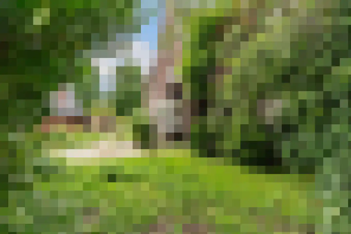 Bolswarderweg 15 Sneek thumbnail 70