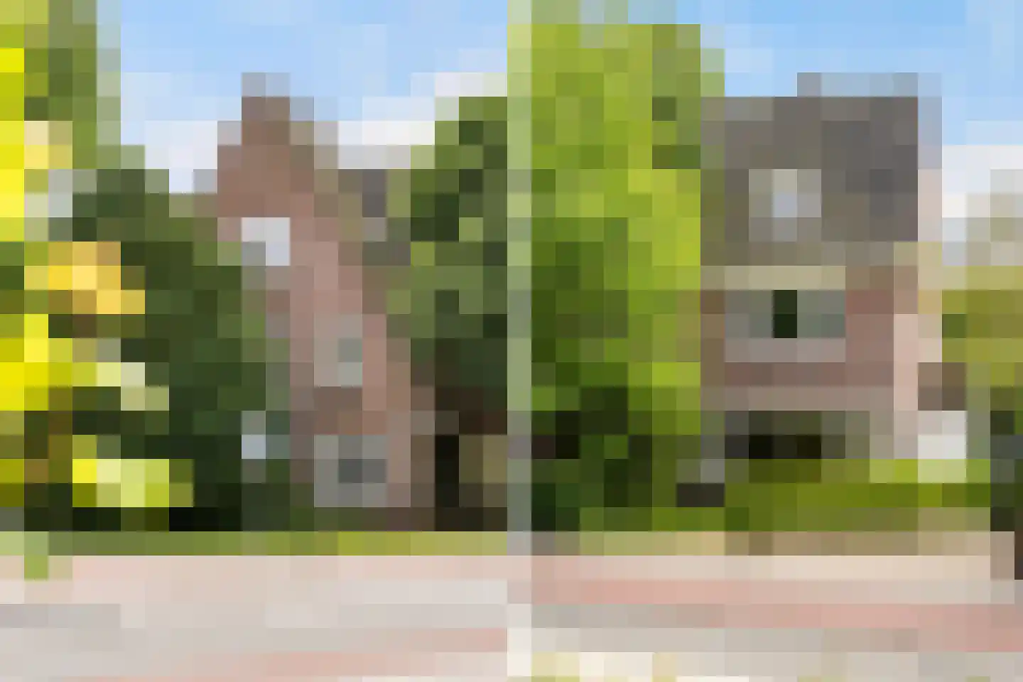 Bolswarderweg 15 Sneek thumbnail 73
