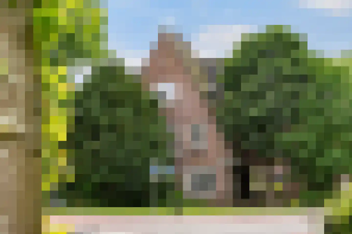 Bolswarderweg 15 Sneek thumbnail 74