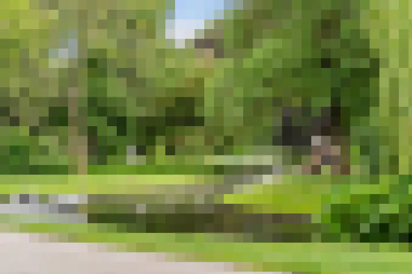 Bolswarderweg 15 Sneek thumbnail 79