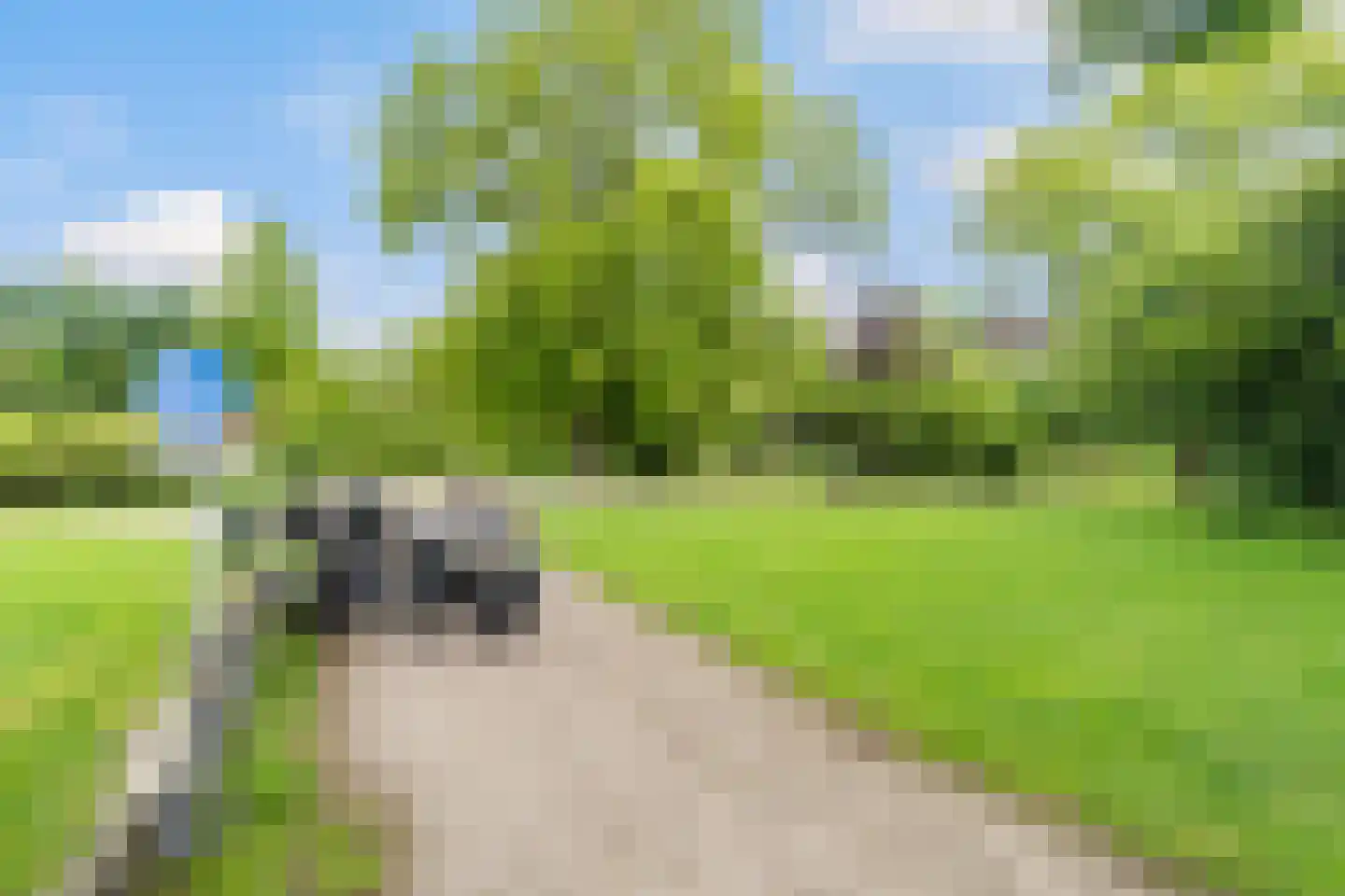 Bolswarderweg 15 Sneek thumbnail 80