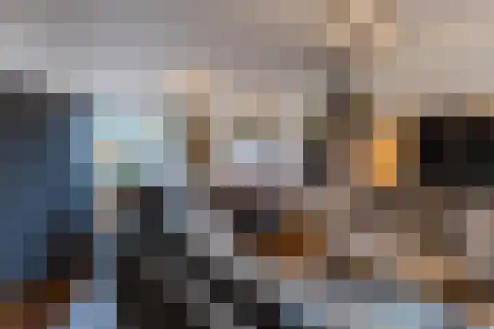 Bolswardstraat 17 Tilburg thumbnail 5