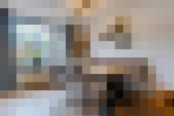 Bolswardstraat 17 Tilburg thumbnail 6