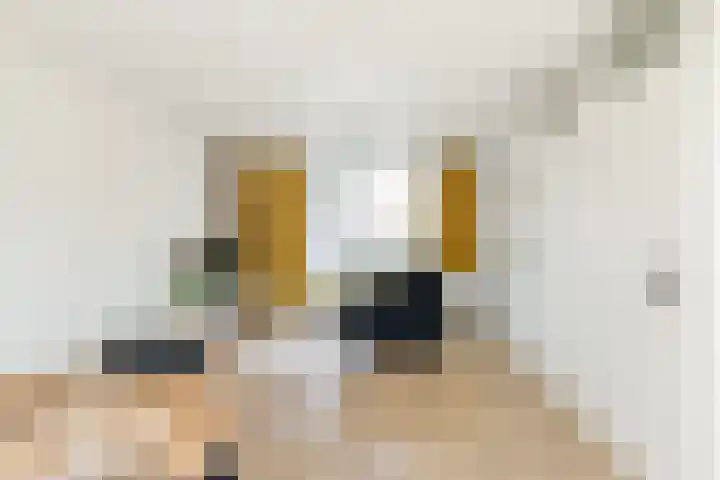Bolswardstraat 9 Tilburg thumbnail 4
