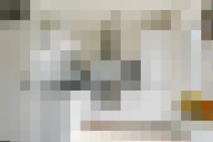 Bolswardstraat 9 Tilburg thumbnail 6