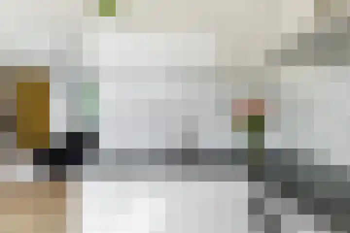 Bolswardstraat 9 Tilburg thumbnail 7
