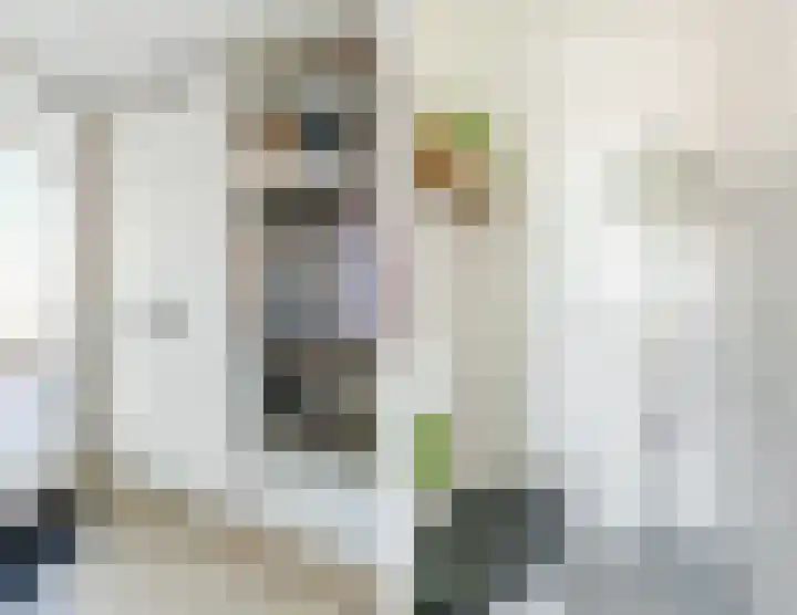 Bolswardstraat 9 Tilburg thumbnail 8