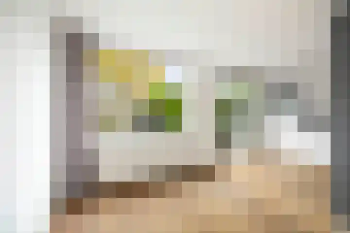 Boltelaan 3 Diepenveen thumbnail 10