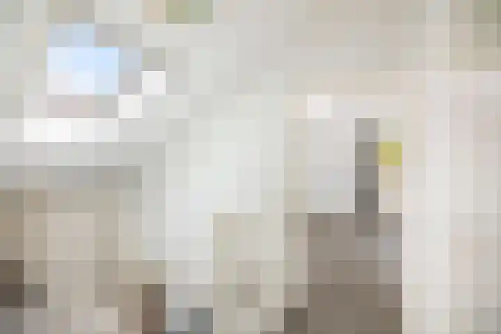 Boltelaan 3 Diepenveen thumbnail 19
