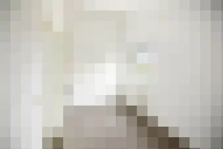 Boltelaan 3 Diepenveen thumbnail 23