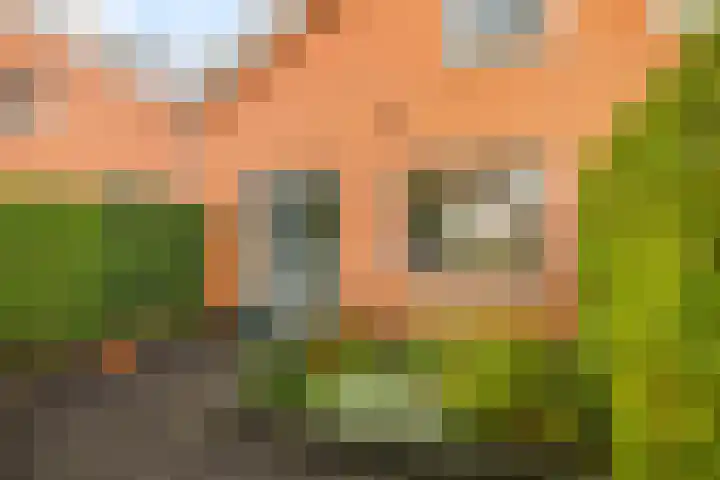 Boltelaan 3 Diepenveen thumbnail 24