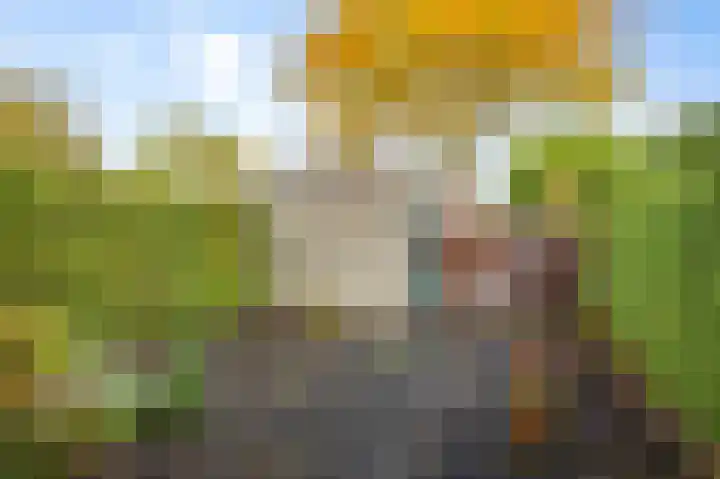 Boltelaan 3 Diepenveen thumbnail 26