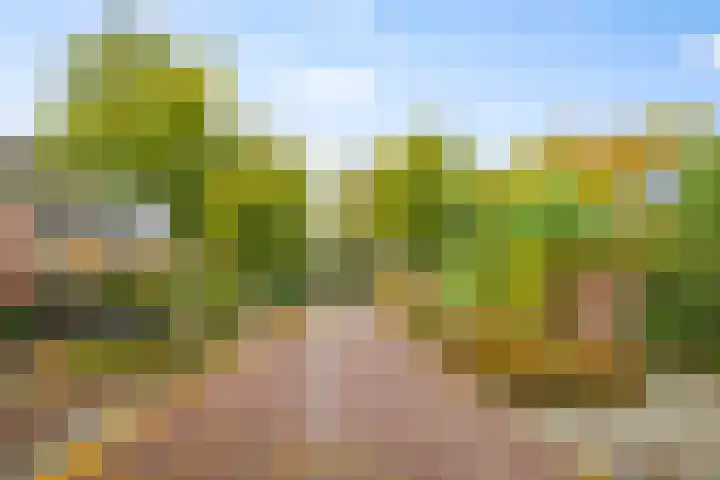 Boltelaan 3 Diepenveen thumbnail 29
