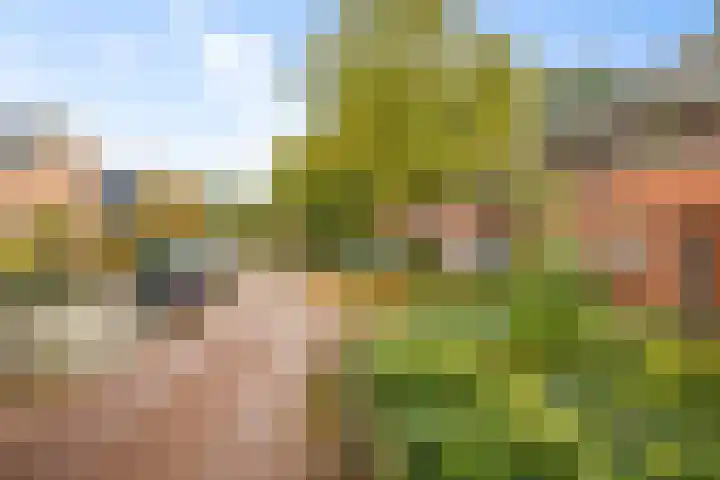 Boltelaan 3 Diepenveen thumbnail 30