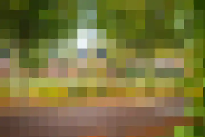 Boltelaan 3 Diepenveen thumbnail 31