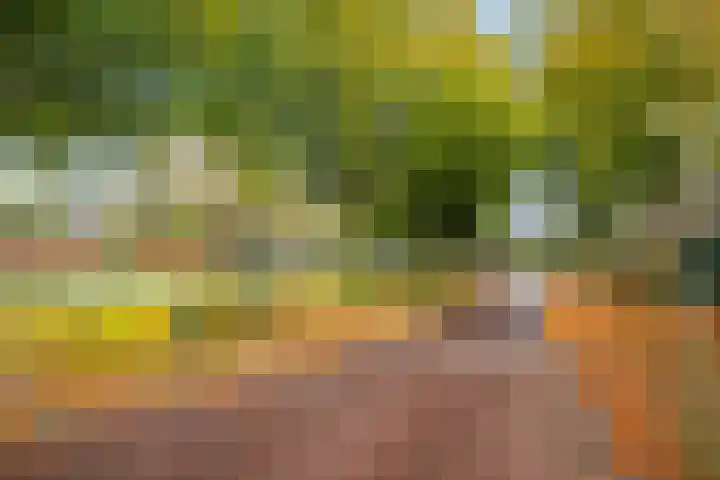 Boltelaan 3 Diepenveen thumbnail 32