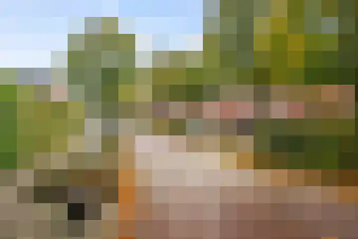 Boltelaan 3 Diepenveen thumbnail 33