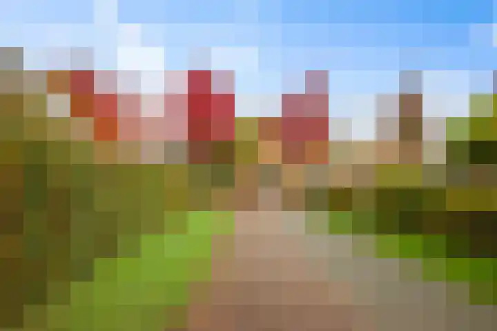 Boltelaan 3 Diepenveen thumbnail 34