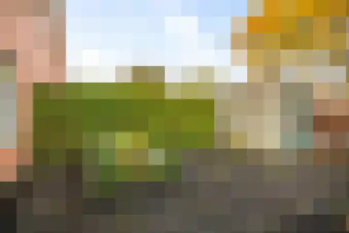 Boltelaan 3 Diepenveen thumbnail 35