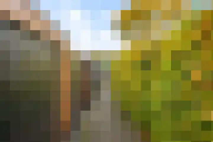 Boltelaan 3 Diepenveen thumbnail 36