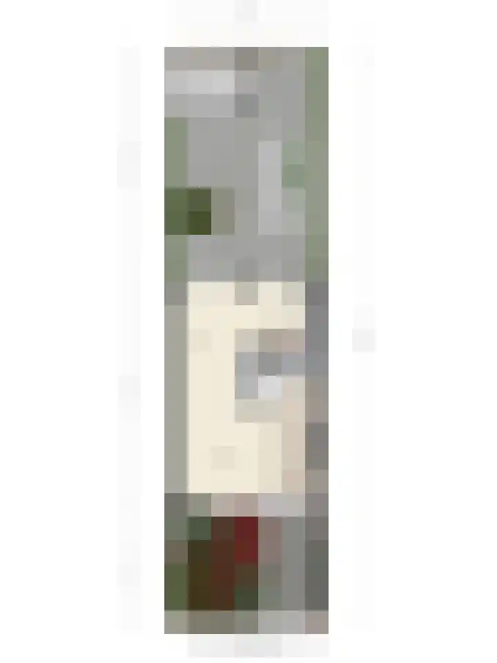 Boltelaan 3 Diepenveen thumbnail 39