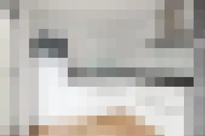 Boltelaan 3 Diepenveen thumbnail 5